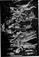 An illustration from The art of the Italian renaissance; a handbook for students and travellers (1903)