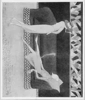 Picture 27 of 51 from A survey (1921), leaf 124