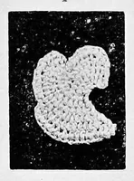 Picture 1 of 19 from Point and pillow lace : a short account of various kinds, ancient and modern, and how to recognise them (1899), leaf 26