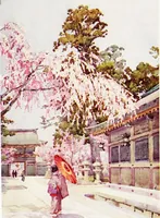 An illustration from The flowers and gardens of Japan (1908)