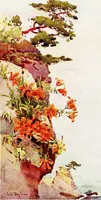 Picture 24 of 60 from The flowers and gardens of Japan (1908), leaf 190