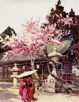 An illustration from The flowers and gardens of Japan (1908)