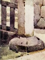 An illustration from The flowers and gardens of Japan (1908)