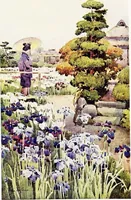 An illustration from The flowers and gardens of Japan (1908)