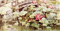 An illustration from The flowers and gardens of Japan (1908)
