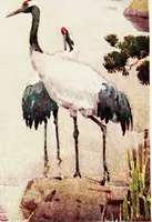 An illustration from The flowers and gardens of Japan (1908)