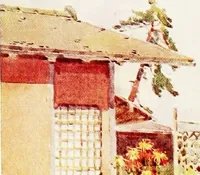 Picture 51 of 60 from The flowers and gardens of Japan (1908), leaf 386