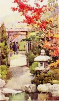 An illustration from The flowers and gardens of Japan (1908)