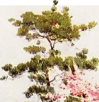 An illustration from The flowers and gardens of Japan (1908)