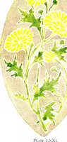 Picture 4 of 15 from Simple art applied to handwork (1915), leaf 100