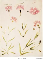 Picture 1 of 15 from Simple art applied to handwork (1915), leaf 4