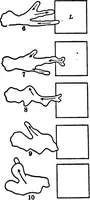 Picture 7 of 25 from Light and the behavior of organisms (1911), leaf 105