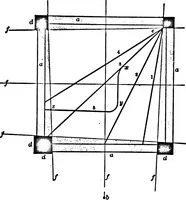 An illustration from Light and the behavior of organisms (1911)