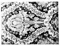 An illustration from An encyclopædia of textiles : from the earliest times to the beginning of the 19th century (1900)