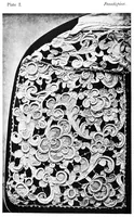 Picture 1 of 20 from Old lace : a handbook for collectors : an account of the different styles of lace, their history, characteristics & manufacture (1908), leaf 9