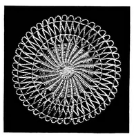 An illustration from Teneriffe lace : designs and instructions (1904)
