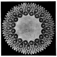 An illustration from Teneriffe lace : designs and instructions (1904)