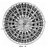 Picture 3 of 20 from Teneriffe lace : designs and instructions (1904), leaf 8