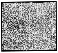 An illustration from Collection of antique laces and brocades of Max Littwitz (1900)