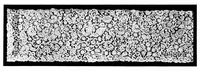 An illustration from Collection of antique laces and brocades of Max Littwitz (1900)