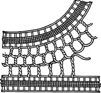 Picture 36 of 77 from The Priscilla Battenberg and point lace book; a collection of lace stitches with working directions for braid laces (1912), leaf 25