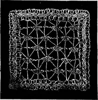 An illustration from The Priscilla Battenberg and point lace book; a collection of lace stitches with working directions for braid laces (1912)