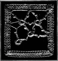 An illustration from The Priscilla Battenberg and point lace book; a collection of lace stitches with working directions for braid laces (1912)