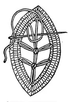An illustration from Lace, ancient and modern; Comprising a history of its origin and manufacture, with instructions concerning the manner of making it (1880)