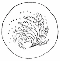 An illustration from Lace-making in the Midlands : past and present (1900)