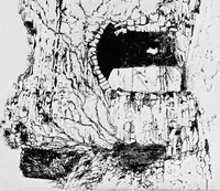 Picture 62 of 195 from Modern etchings, mezzotints and dry-points (1913), leaf 104