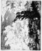 Picture 82 of 195 from Modern etchings, mezzotints and dry-points (1913), leaf 134