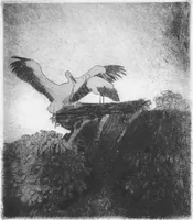 Picture 188 of 195 from Modern etchings, mezzotints and dry-points (1913), leaf 284