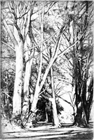 An illustration from Modern etchings, mezzotints and dry-points (1913)