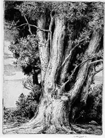 Picture 40 of 195 from Modern etchings, mezzotints and dry-points (1913), leaf 76
