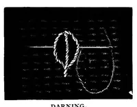 Picture 4 of 18 from Doyley and centre-piece book (1896), leaf 20