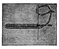 Picture 16 of 18 from Doyley and centre-piece book (1896), leaf 76