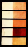 An illustration from Report of the Committee on leather for bookbinding (1905)