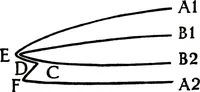 Picture 3 of 16 from Report of the Committee on leather for bookbinding (1905), leaf 48