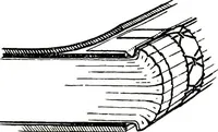 An illustration from Report of the Committee on leather for bookbinding (1905)