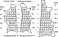 Picture 9 of 16 from Report of the Committee on leather for bookbinding (1905), leaf 68