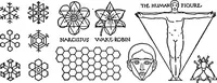 Picture 39 of 81 from The beautiful necessity; seven essays on theosophy and architecture (1922), leaf 83