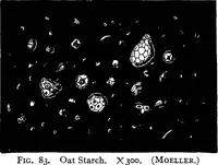Picture 71 of 470 from The microscopy of vegetable foods : with special reference to the detection of adulteration and the diagnosis of mixtures (1906), leaf 138