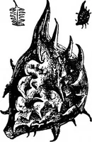 An illustration from The microscopy of vegetable foods : with special reference to the detection of adulteration and the diagnosis of mixtures (1906)
