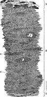 An illustration from The microscopy of vegetable foods : with special reference to the detection of adulteration and the diagnosis of mixtures (1906)