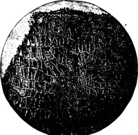An illustration from The microscopy of vegetable foods : with special reference to the detection of adulteration and the diagnosis of mixtures (1906)