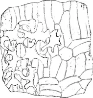 An illustration from The microscopy of vegetable foods : with special reference to the detection of adulteration and the diagnosis of mixtures (1906)