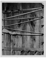 An illustration from Speed warping (1900)