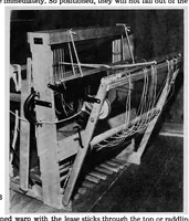 Picture 6 of 11 from Speed warping (1900), leaf 6