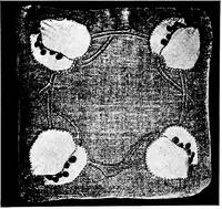 Picture 133 of 175 from Craftsman furnishing for the home (1912), leaf 53