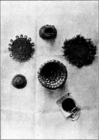 An illustration from Seat work and industrial occupations; a practical course for primary grades (1905)
